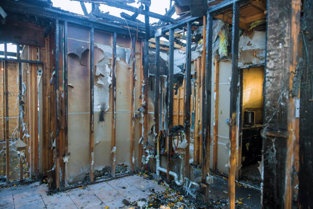 Professional Fire Damage Removal technician working in Buda, TX